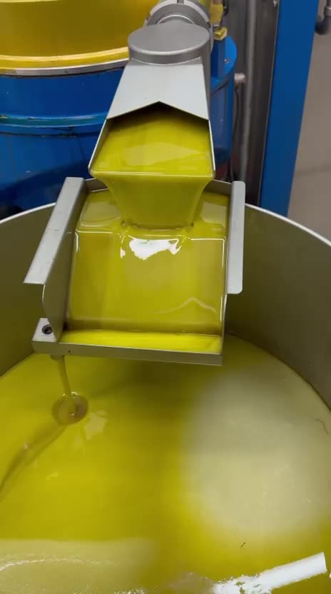 Fresh green-gold olive oil pouring from the press into a steel tank.